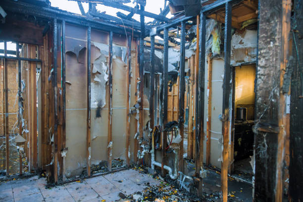 Professional Smoke Damage Removal technician working in Spotswood, NJ
